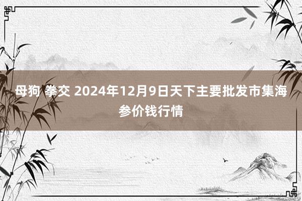 母狗 拳交 2024年12月9日天下主要批发市集海参价钱行情