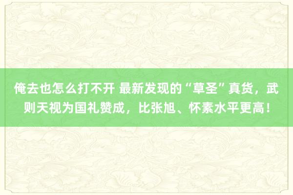 俺去也怎么打不开 最新发现的“草圣”真货，武则天视为国礼赞成，比张旭、怀素水平更高！