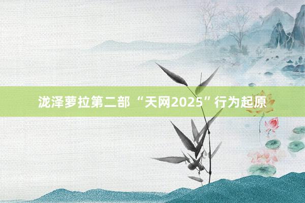 泷泽萝拉第二部 “天网2025”行为起原