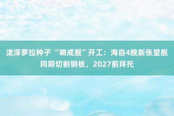 泷泽萝拉种子 “哨戒舰”开工：海自4艘新张望舰同期切割钢板，2027前拜托